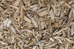 biomass boilers Kershopefoot